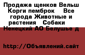 Продажа щенков Вельш Корги пемброк  - Все города Животные и растения » Собаки   . Ненецкий АО,Белушье д.